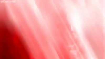 Turbientina - El Final ¿Feliz?