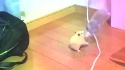 how the last 2 hours felt, KEEP IT UP AND HODL! 🚀