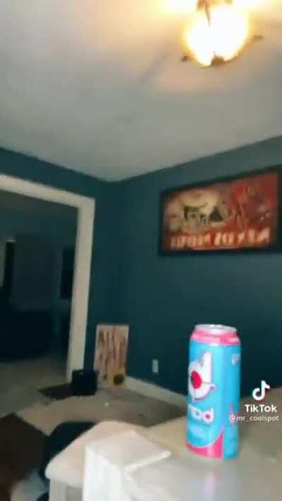 Why you don’t put on shock collars