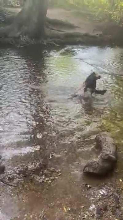 My 5 month old boy Solo after his first experience with water!