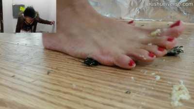 Flattened Under Feet