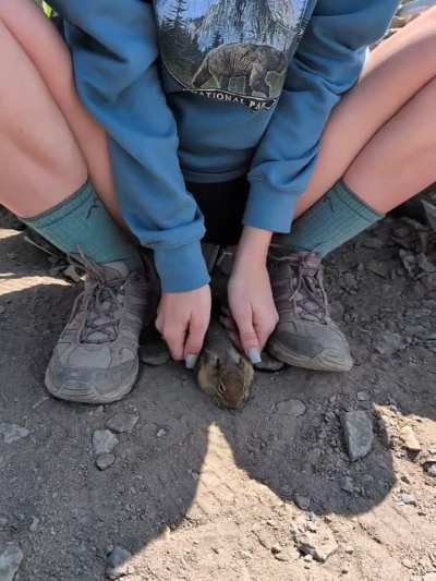 Disney princess pets wild chipmunk