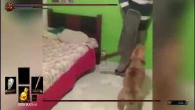 protecting the grave of his master