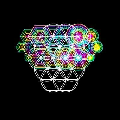 Akashic Meetup Councilᵀᴹ