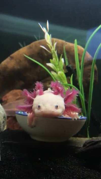 My handsome little blossom