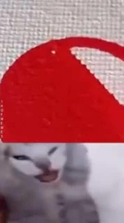 I'm 15 and this is yeet