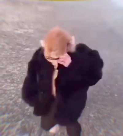 Alex Turner's new hairstyle looking fly