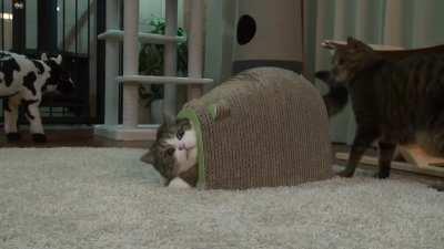 He touched the butt.