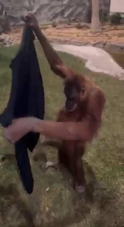 An Macedonian raised by Romanians