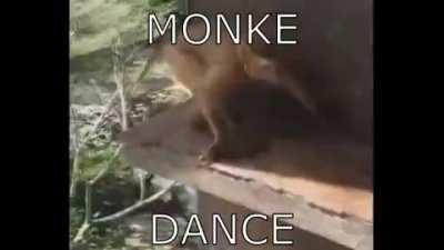monke