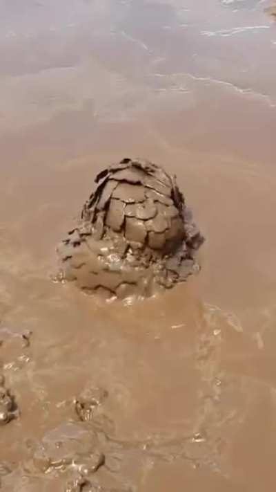 Wunk is absolutely glopped out in the slop