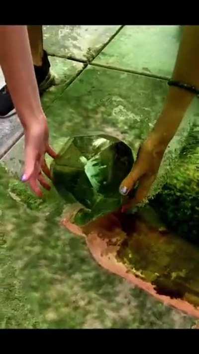 Hora de romper cerebros:parte 2