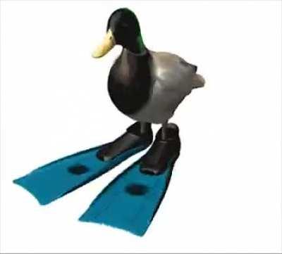 Spinning Duck. 🤔