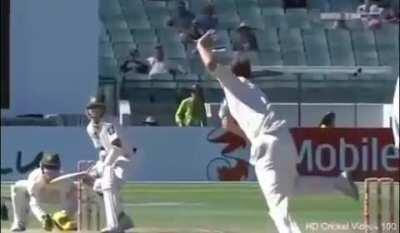 Nathan Hauritz to Faisal Iqbal , Jason Krejza to VVS Laxman