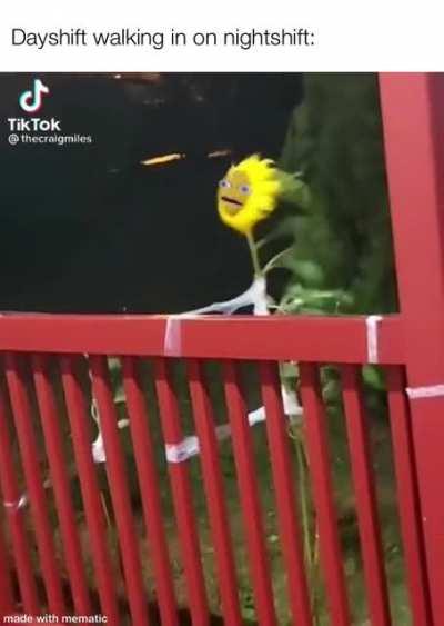 I was bored, made a funny.