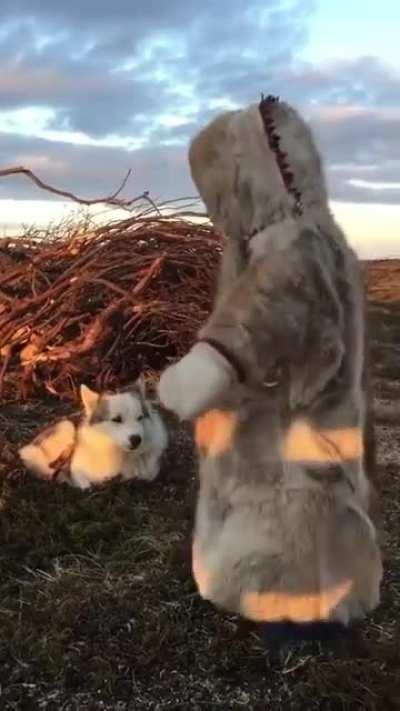 A baby playing with his dog