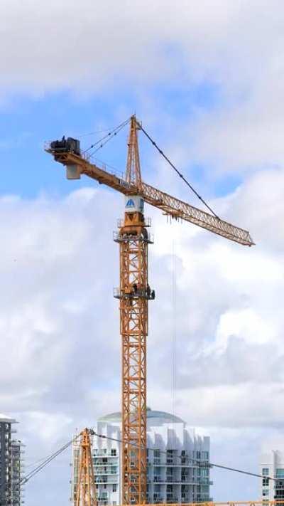 Raising the tower crane