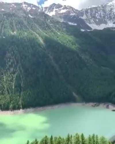 It was the right decision to follow the white doggo for a walk that day