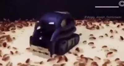 Great Turkish genocide 6800 BCE colorized💪🏿😞