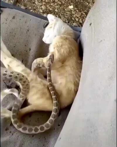 Ох ты-ж бл**ь!