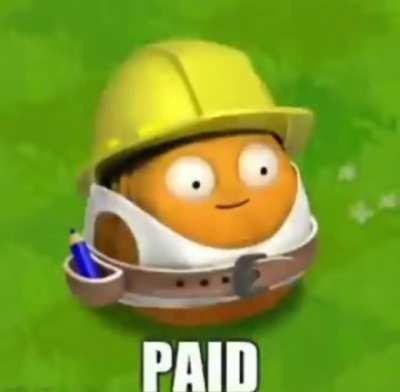 Walnut dont mess arround