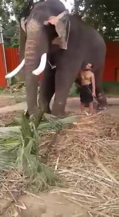 They protec They attac but most importantly Kerala IT cell are bac