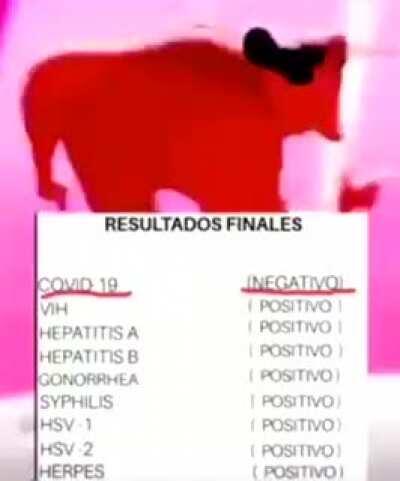 Shitpost 136 momento XD