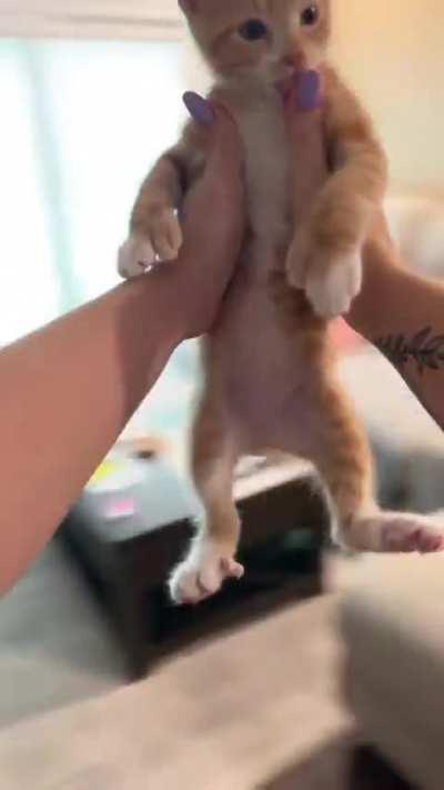 Not a thought in his head😅