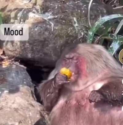 I don’t think I need to say anything here…