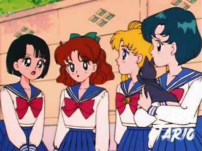 Conversa de alto nível