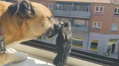 Birds need a break, too.