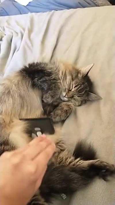 life's good for this senior gal :)