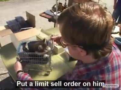 What I do with my GME shares