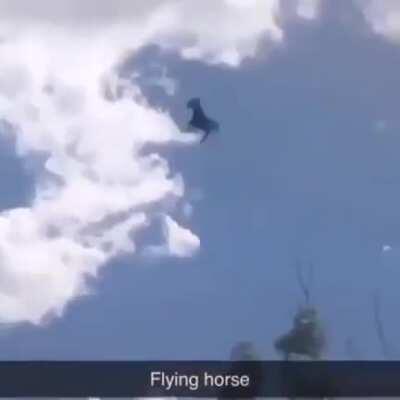 Flying horse
