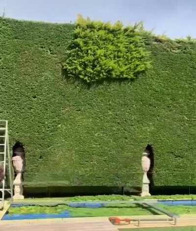 Cutting Hedge Technology