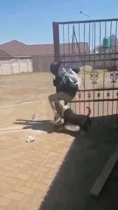 Thief in South Africa taught a painful lesson