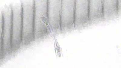 IDF close range ambush on a pair of Palestinians armed with molotov bottles