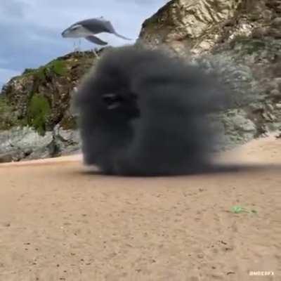 I do not know you but i just saw this and it gave me the so called Kojimachills