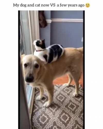 Best friends forever.