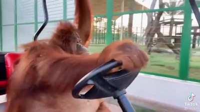 Exceso de fachaaaa 🤑🤑🤑