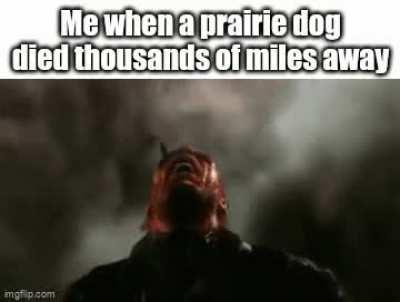 Context in the comments