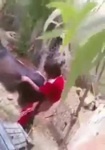 Nooooo genaro la burra nooo