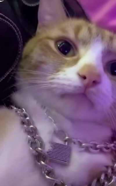 Just wanted to share this pt.2