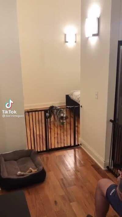 It's 5am I'm too tired for this shit