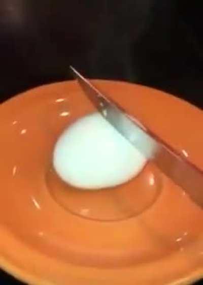 Egg