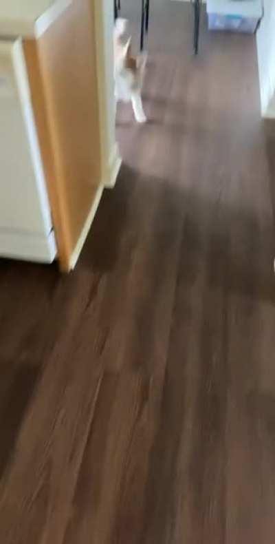 Are you gonna feed me dude….wait for it..