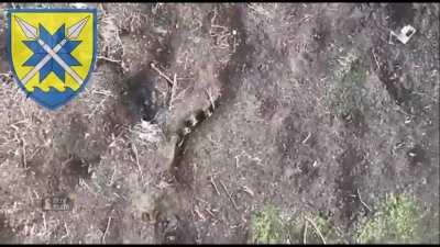 Bombardment of Russian positions with drones. By the 56th brigade and 225th battalion of territorial defense of Ukraine.