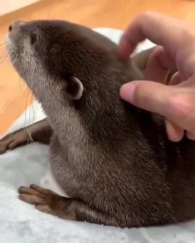 I think everyone here need to see this