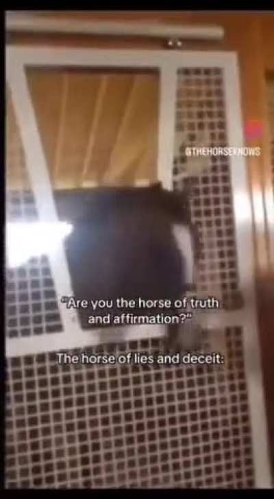 Dvdhskebfhsis? ƪ(˘⌣˘)ʃ ʅ（◞‿◟）ʃ