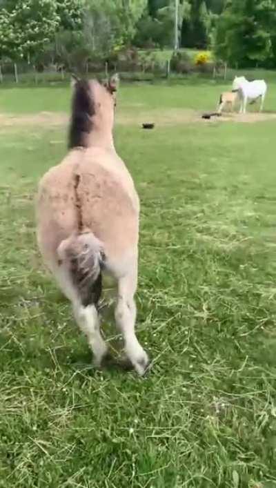 More, more, more please!